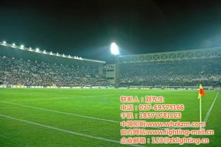 足球場照明 中坤照明 戶外足球場照明燈具