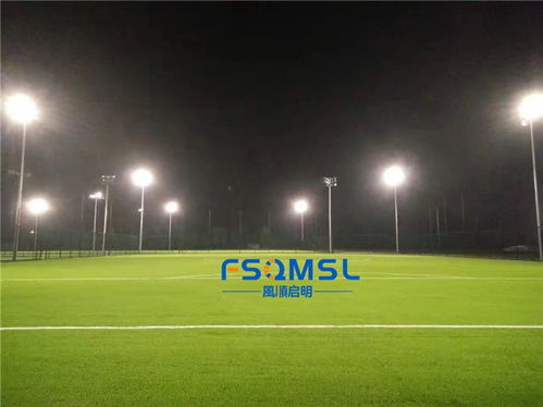 足球場照明燈 足球場高桿燈 學校足球場led燈 照明設計方案