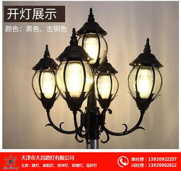 山西庭院燈采購 庭院燈 大昌路燈