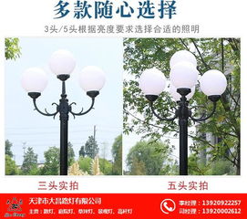 邢臺(tái)歐式庭院燈 天津市大昌路燈公司 歐式庭院燈報(bào)價(jià)