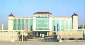 室外照明燈具 高郵市祥瑞照明電器廠