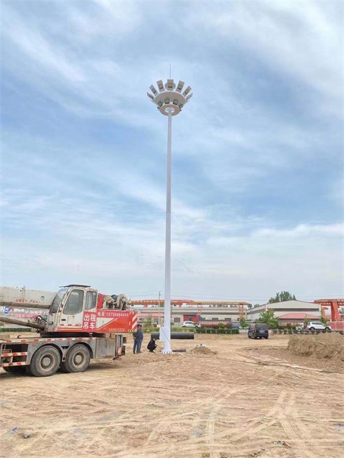 河北高桿燈生產廠家 天光燈具戶外高桿燈價格,電話,圖片